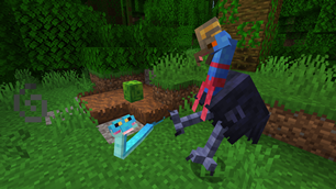 Cassowary protecting their nest from a snake