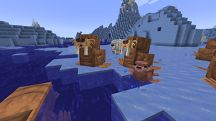 A group of walrus running away from a polar bear