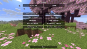 Options menu