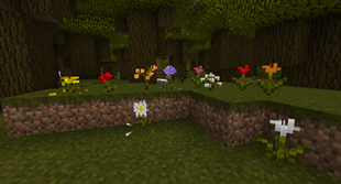 Dead Flowers