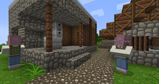 Village