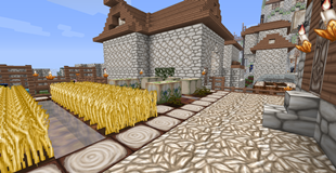 Fields