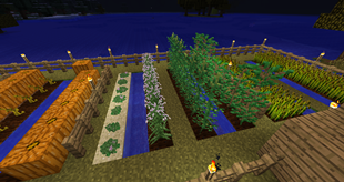 Psychedelic Farm