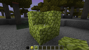 DeathDoor : Burning Cobblestone 1