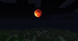 The moon during nighttime