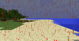 The rain during day