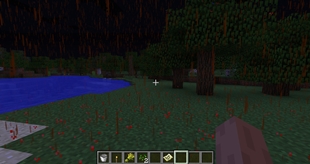 The rain during night
