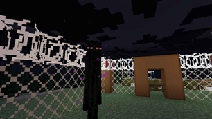 Infected Enderman