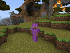 Armor #1