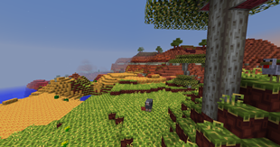 Dry Biomes