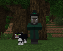 WitherWitchWithCat