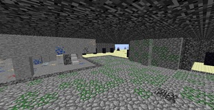 Maze Biome Image 1