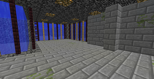 Maze Biome image 2