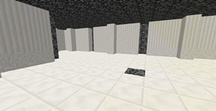 Maze Biome image 3