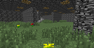 Maze Biome image 4