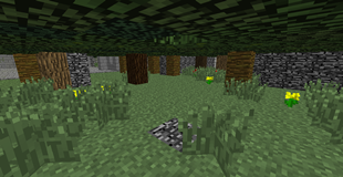 Forest Maze