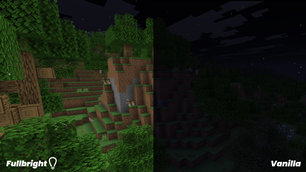 Forest Hills at Night