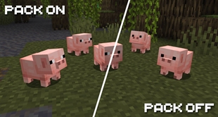 Baby Pigs Comparison