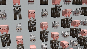 Wall of Babies