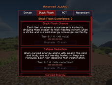 Black Flash Features