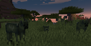 zombie cow