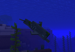 brined dolphin