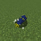 fungal_weevil.png