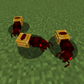 honey_pot_ant.png
