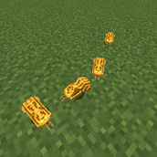 money_spider.png