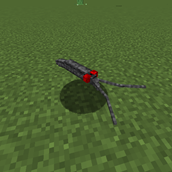 pond_skater.png