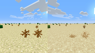 Tall & Short Dry Grass
