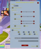 Option Window