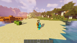 Screenshot 16