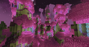 2020-11-27_20 (1).webp