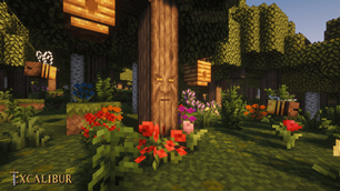 Learn from the Wise One