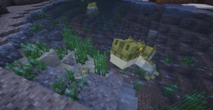 a cocodrile an his baby of primal