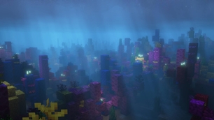 Coral Reef