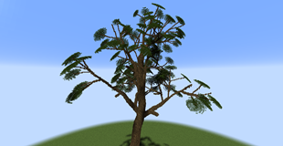 Playing with Tree Generator