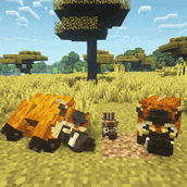digging with their snout