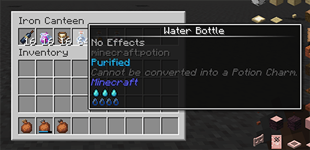 iron_inventory02.png