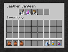 leather_inventory01.png