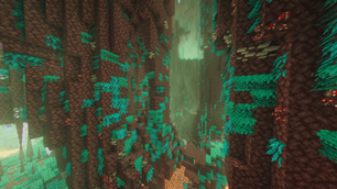 Nether 2