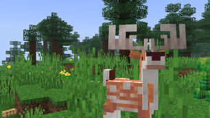 deer