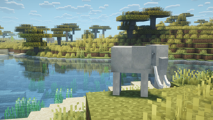 Baby elephant