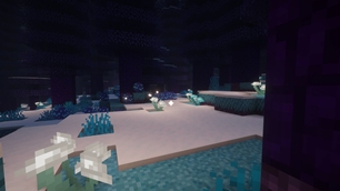 Auroral Forest