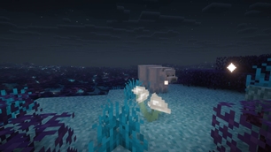 Frozen Bear