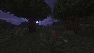 Teddiursa on a full moon.jpg