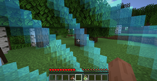 border1.png