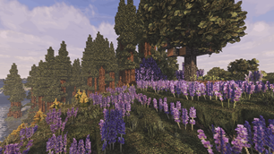 Biomes 'O Plenty biome