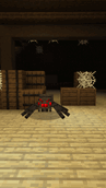 spider.gif